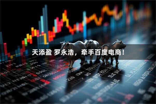 天添盈 罗永浩，牵手百度电商！