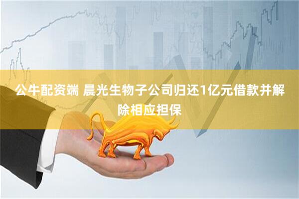 公牛配资端 晨光生物子公司归还1亿元借款并解除相应担保