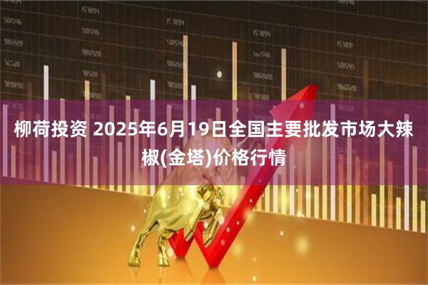 柳荷投资 2025年6月19日全国主要批发市场大辣椒(金塔)价格行情